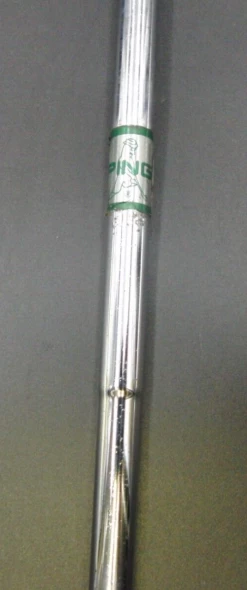 Ping Pal Putter 89cm Playing Length Steel Shaft Iguana Grip -Clubs Shop 32 07346221 a50c 4e79 a24f 0ba303bd48a4