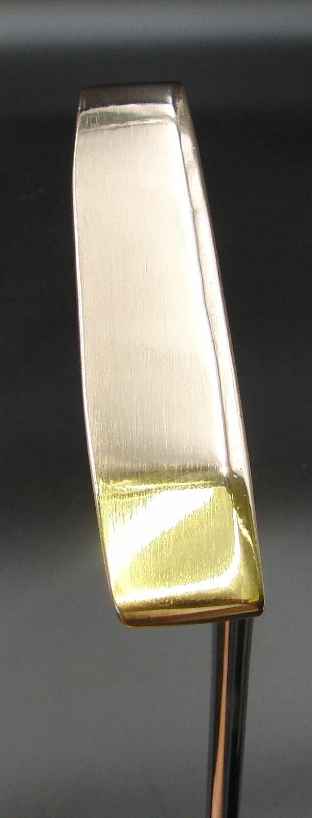 Ping Pal 6 Karsten MFG Putter Steel Shaft 88.5cm Long Iguana Grip 2 Ping Pal 6 Karsten MFG Putter Steel Shaft 88.5cm Long Iguana Grip - Image 2