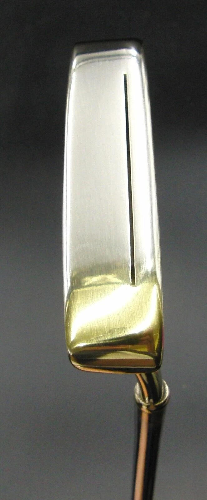 Ping Cushin 4 Karsten Putter Steel Shaft Iguana Golf Grip 88.5cm Long 2 Ping Cushin 4 Karsten Putter Steel Shaft Iguana Golf Grip 88.5cm Long - Image 2