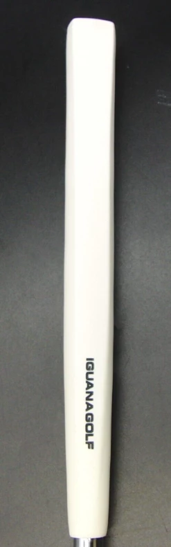 PRGR Silver Blade 01 ZN Putter Steel Shaft 88cm Length Iguana Grip -Clubs Shop 32 da2daa21 145d 4387 a1aa 874b08da981b