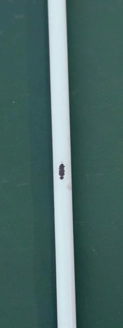 Lincs_golf Left Handed PXG 0317 X 19° EX Demo Hybrid Regular Graphite Shaft Golf Pride Grip -Clubs Shop s l1600 d6641d08 1c05 45dd b59c afe1af49c4a1